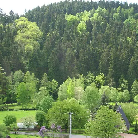 In A With Garden In Borstendorf Villa *